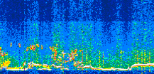 /calipso-imagery/data/BROWSE/production/V5-00/2021-06-24/2021-06-24_13-09-52_V5.00_3_thmb.png image missing