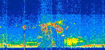 /calipso-imagery/data/BROWSE/production/V5-00/2021-06-24/2021-06-24_14-48-22_V5.00_2_thmb.png image missing