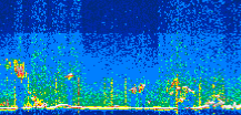 /calipso-imagery/data/BROWSE/production/V5-00/2021-06-24/2021-06-24_16-26-52_V5.00_3_thmb.png image missing