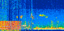 /calipso-imagery/data/BROWSE/production/V5-00/2021-06-24/2021-06-24_18-05-23_V5.00_2_thmb.png image missing