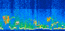/calipso-imagery/data/BROWSE/production/V5-00/2021-06-26/2021-06-26_02-55-42_V5.00_3_thmb.png image missing