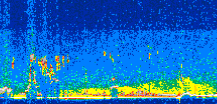 /calipso-imagery/data/BROWSE/production/V5-00/2021-06-26/2021-06-26_09-29-48_V5.00_2_thmb.png image missing