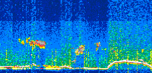 /calipso-imagery/data/BROWSE/production/V5-00/2021-06-26/2021-06-26_14-25-18_V5.00_3_thmb.png image missing