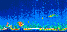 /calipso-imagery/data/BROWSE/production/V5-00/2021-06-26/2021-06-26_22-37-54_V5.00_1_thmb.png image missing