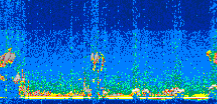 /calipso-imagery/data/BROWSE/production/V5-00/2021-06-28/2021-06-28_00-54-07_V5.00_2_thmb.png image missing