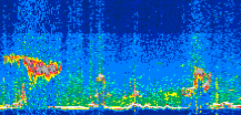 /calipso-imagery/data/BROWSE/production/V5-00/2021-06-28/2021-06-28_02-32-38_V5.00_3_thmb.png image missing