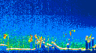 /calipso-imagery/data/BROWSE/production/V5-00/2021-06-28/2021-06-28_02-32-38_V5.00_4_thmb.png image missing