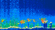 /calipso-imagery/data/BROWSE/production/V5-00/2021-06-28/2021-06-28_09-06-38_V5.00_4_thmb.png image missing