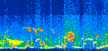 /calipso-imagery/data/BROWSE/production/V5-00/2021-06-28/2021-06-28_12-23-44_V5.00_3_thmb.png image missing