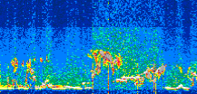 /calipso-imagery/data/BROWSE/production/V5-00/2021-06-28/2021-06-28_15-40-44_V5.00_3_thmb.png image missing