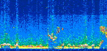/calipso-imagery/data/BROWSE/production/V5-00/2021-06-28/2021-06-28_23-53-20_V5.00_2_thmb.png image missing