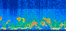 /calipso-imagery/data/BROWSE/production/V5-00/2021-06-28/2021-06-28_23-53-20_V5.00_3_thmb.png image missing