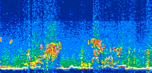 /calipso-imagery/data/BROWSE/production/V5-00/2021-06-30/2021-06-30_03-48-04_V5.00_3_thmb.png image missing