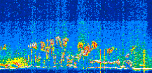 /calipso-imagery/data/BROWSE/production/V5-00/2021-06-30/2021-06-30_05-26-34_V5.00_3_thmb.png image missing
