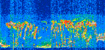 /calipso-imagery/data/BROWSE/production/V5-00/2021-06-30/2021-06-30_07-05-04_V5.00_2_thmb.png image missing