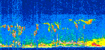 /calipso-imagery/data/BROWSE/production/V5-00/2021-06-30/2021-06-30_08-43-39_V5.00_2_thmb.png image missing