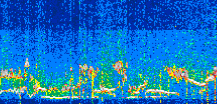 /calipso-imagery/data/BROWSE/production/V5-00/2021-06-30/2021-06-30_10-22-10_V5.00_3_thmb.png image missing