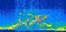 /calipso-imagery/data/BROWSE/production/V5-00/2021-06-30/2021-06-30_12-00-40_V5.00_2_thmb.png image missing