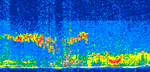 /calipso-imagery/data/BROWSE/production/V5-00/2021-06-30/2021-06-30_13-39-10_V5.00_2_thmb.png image missing