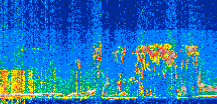 /calipso-imagery/data/BROWSE/production/V5-00/2021-06-30/2021-06-30_20-13-11_V5.00_2_thmb.png image missing