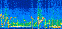 /calipso-imagery/data/BROWSE/production/V5-00/2021-06-30/2021-06-30_20-13-11_V5.00_3_thmb.png image missing