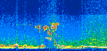 /calipso-imagery/data/BROWSE/production/V5-00/2021-06-30/2021-06-30_21-51-46_V5.00_2_thmb.png image missing