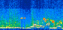 /calipso-imagery/data/BROWSE/production/V5-00/2021-06-30/2021-06-30_21-51-46_V5.00_3_thmb.png image missing