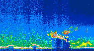 /calipso-imagery/data/BROWSE/production/V5-00/2021-06-30/2021-06-30_21-51-46_V5.00_4_thmb.png image missing