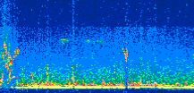 /calipso-imagery/data/BROWSE/production/V5-00/2021-07-01/2021-07-01_02-47-17_V5.00_2_thmb.png image missing