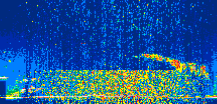 /calipso-imagery/data/BROWSE/production/V5-00/2021-07-01/2021-07-01_05-18-07_V5.00_2_thmb.png image missing