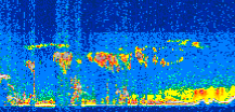 /calipso-imagery/data/BROWSE/production/V5-00/2021-07-01/2021-07-01_09-21-22_V5.00_2_thmb.png image missing