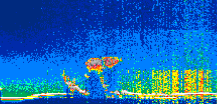 /calipso-imagery/data/BROWSE/production/V5-00/2021-07-01/2021-07-01_14-16-53_V5.00_1_thmb.png image missing