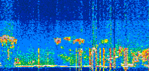/calipso-imagery/data/BROWSE/production/V5-00/2021-07-01/2021-07-01_19-12-24_V5.00_3_thmb.png image missing