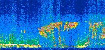 /calipso-imagery/data/BROWSE/production/V5-00/2021-07-01/2021-07-01_20-50-54_V5.00_2_thmb.png image missing