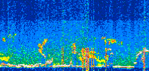 /calipso-imagery/data/BROWSE/production/V5-00/2021-07-11/2021-07-11_00-51-46_V5.00_3_thmb.png image missing
