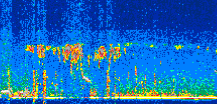 /calipso-imagery/data/BROWSE/production/V5-00/2021-07-11/2021-07-11_04-08-47_V5.00_2_thmb.png image missing