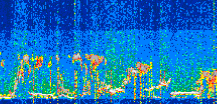 /calipso-imagery/data/BROWSE/production/V5-00/2021-07-11/2021-07-11_04-08-47_V5.00_3_thmb.png image missing