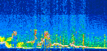 /calipso-imagery/data/BROWSE/production/V5-00/2021-07-11/2021-07-11_09-04-17_V5.00_3_thmb.png image missing