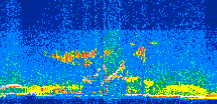 /calipso-imagery/data/BROWSE/production/V5-00/2021-07-11/2021-07-11_12-21-23_V5.00_2_thmb.png image missing