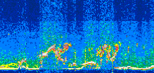 /calipso-imagery/data/BROWSE/production/V5-00/2021-07-11/2021-07-11_12-21-23_V5.00_3_thmb.png image missing