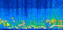 /calipso-imagery/data/BROWSE/production/V5-00/2021-07-11/2021-07-11_13-59-53_V5.00_3_thmb.png image missing