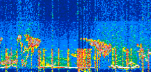 /calipso-imagery/data/BROWSE/production/V5-00/2021-07-11/2021-07-11_18-55-24_V5.00_3_thmb.png image missing