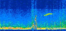 /calipso-imagery/data/BROWSE/production/V5-00/2021-07-11/2021-07-11_22-12-24_V5.00_2_thmb.png image missing