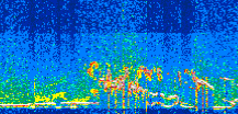 /calipso-imagery/data/BROWSE/production/V5-00/2021-07-11/2021-07-11_22-12-24_V5.00_3_thmb.png image missing