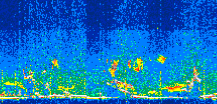 /calipso-imagery/data/BROWSE/production/V5-00/2021-07-11/2021-07-11_23-50-54_V5.00_3_thmb.png image missing