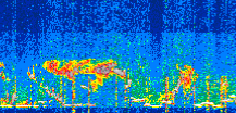 /calipso-imagery/data/BROWSE/production/V5-00/2021-07-16/2021-07-16_00-43-11_V5.00_3_thmb.png image missing