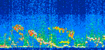 /calipso-imagery/data/BROWSE/production/V5-00/2021-07-16/2021-07-16_02-21-42_V5.00_3_thmb.png image missing