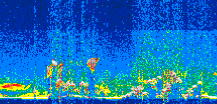 /calipso-imagery/data/BROWSE/production/V5-00/2021-07-16/2021-07-16_12-12-48_V5.00_3_thmb.png image missing