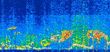 /calipso-imagery/data/BROWSE/production/V5-00/2021-07-16/2021-07-16_15-29-48_V5.00_3_thmb.png image missing