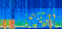 /calipso-imagery/data/BROWSE/production/V5-00/2021-07-16/2021-07-16_20-25-19_V5.00_2_thmb.png image missing